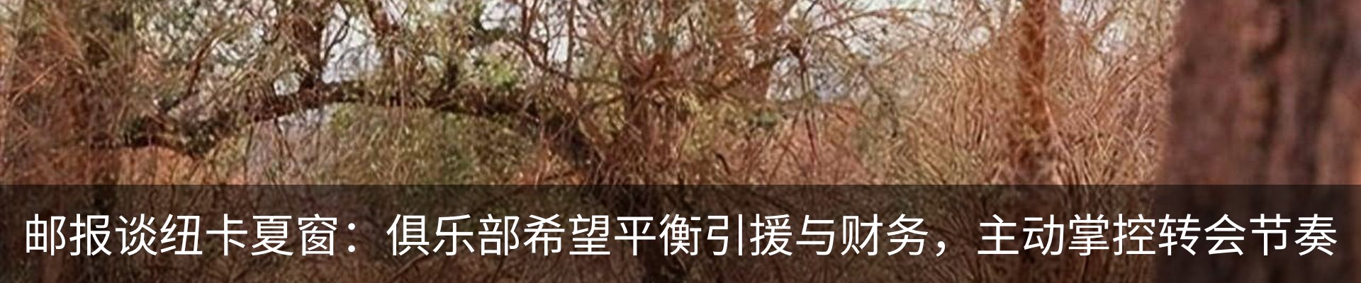 最新动态